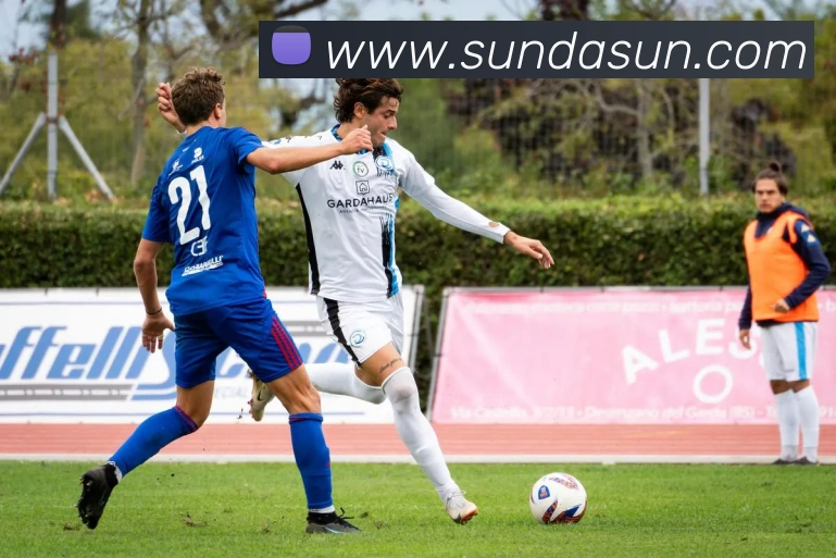 买球官方服务体系